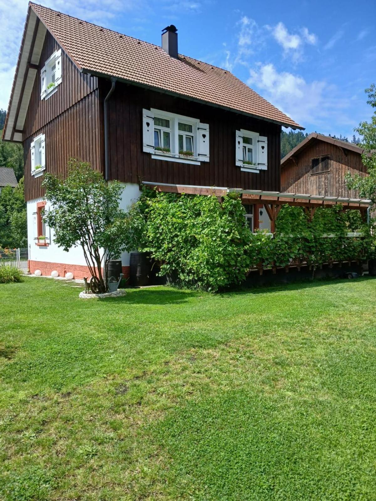 Familienfreundliches-Luxus-Bahnwaerterhaus Villa Schiltach Luaran gambar